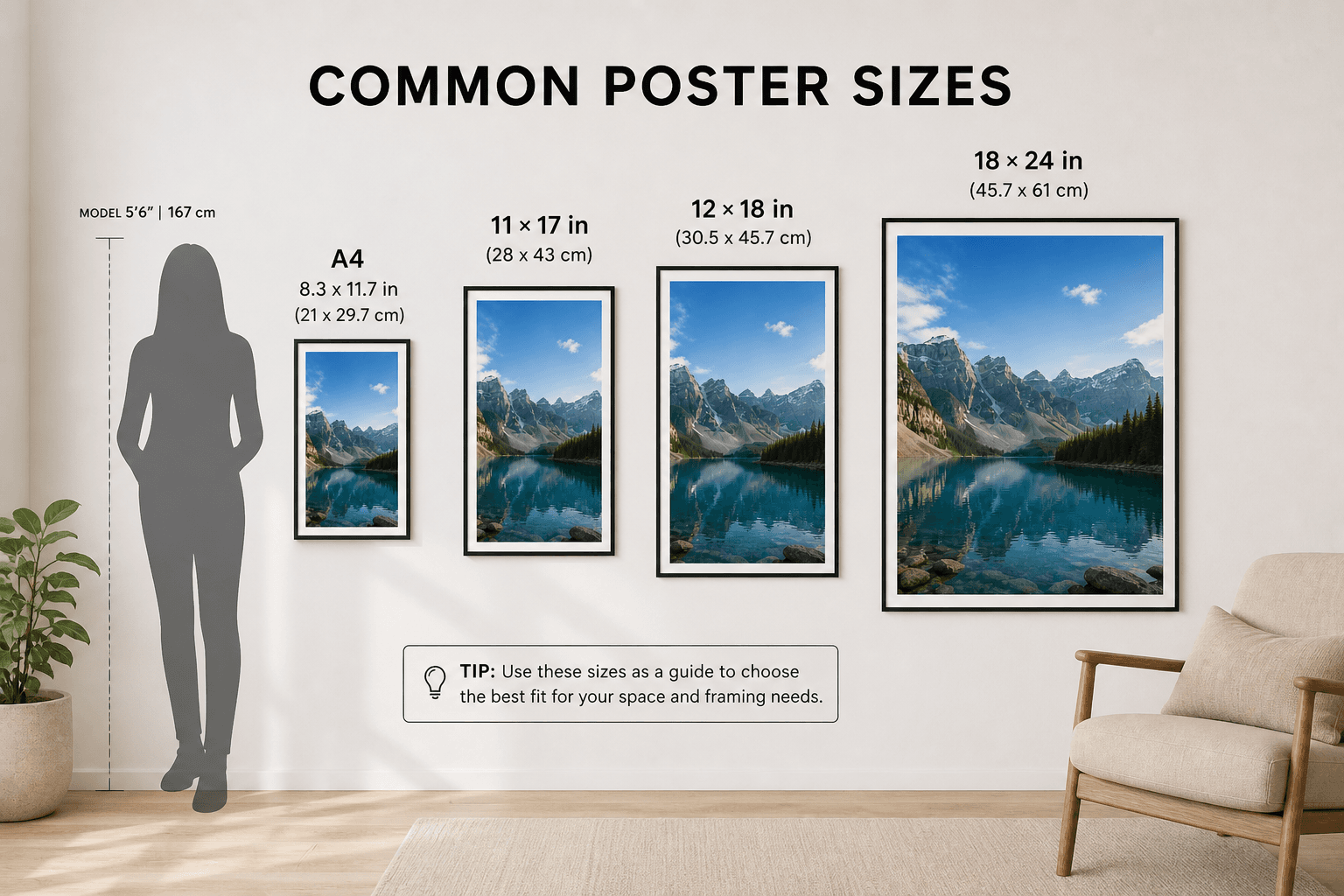 A visual comparison of common poster sizes (A4, 11×17, 12×18, and 18×24 inches) displayed on a wall, shown alongside a human silhouette for scale to help illustrate how each size fits in a real space.
